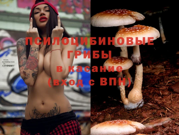 Альфа ПВП Баксан